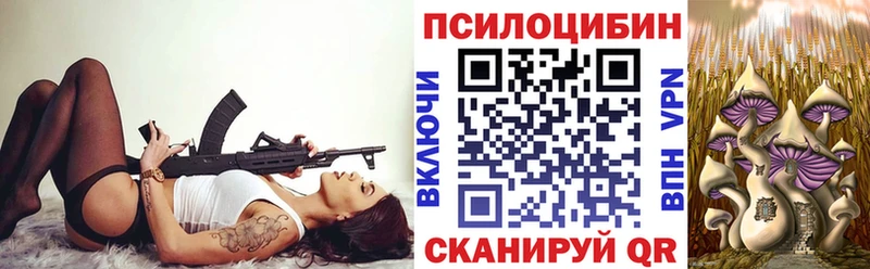 Галлюциногенные грибы Psilocybine cubensis  Купить закладки  Апшеронск 